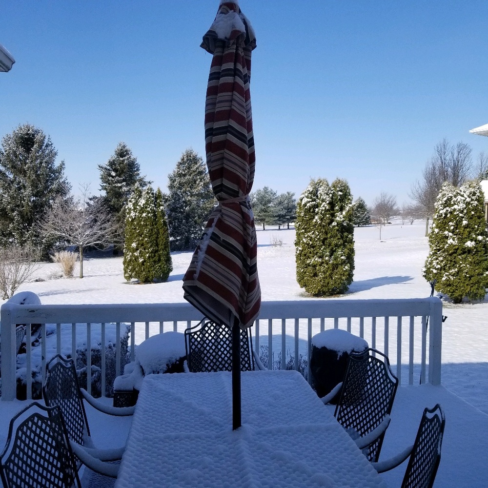 Meet your Posher, Joann